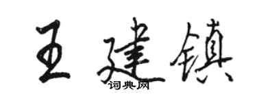骆恒光王建镇行书个性签名怎么写