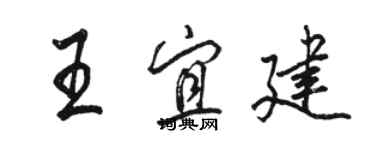 骆恒光王宜建行书个性签名怎么写