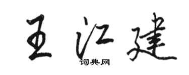 骆恒光王江建行书个性签名怎么写