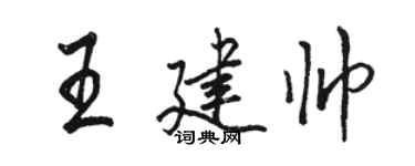 骆恒光王建帅行书个性签名怎么写