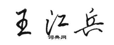 骆恒光王江兵行书个性签名怎么写