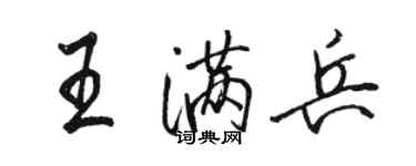 骆恒光王满兵行书个性签名怎么写