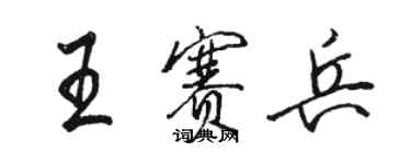 骆恒光王赛兵行书个性签名怎么写