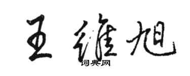 骆恒光王维旭行书个性签名怎么写