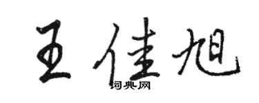 骆恒光王佳旭行书个性签名怎么写