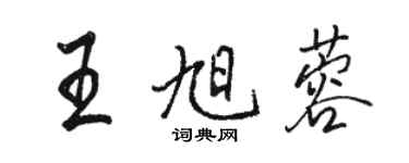 骆恒光王旭蓉行书个性签名怎么写