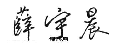 骆恒光薛宇晨行书个性签名怎么写