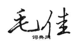 骆恒光毛佳行书个性签名怎么写