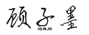 骆恒光顾子墨行书个性签名怎么写