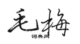 骆恒光毛梅行书个性签名怎么写