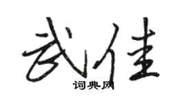骆恒光武佳行书个性签名怎么写