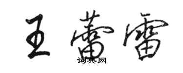 骆恒光王蕾雷行书个性签名怎么写