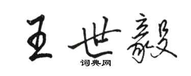 骆恒光王世毅行书个性签名怎么写