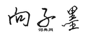 骆恒光向子墨行书个性签名怎么写
