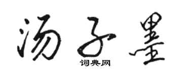 骆恒光汤子墨行书个性签名怎么写
