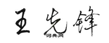 骆恒光王先锋行书个性签名怎么写