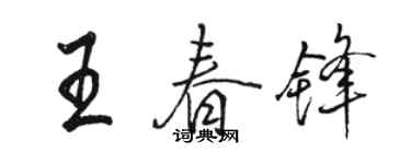 骆恒光王春锋行书个性签名怎么写