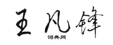 骆恒光王凡锋行书个性签名怎么写