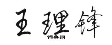 骆恒光王理锋行书个性签名怎么写