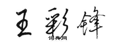 骆恒光王彩锋行书个性签名怎么写