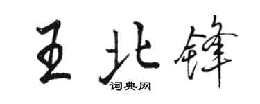 骆恒光王北锋行书个性签名怎么写