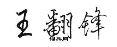 骆恒光王翻锋行书个性签名怎么写