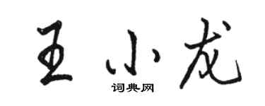 骆恒光王小龙行书个性签名怎么写