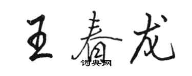骆恒光王春龙行书个性签名怎么写