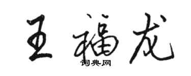 骆恒光王福龙行书个性签名怎么写
