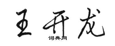 骆恒光王开龙行书个性签名怎么写