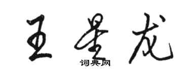 骆恒光王星龙行书个性签名怎么写
