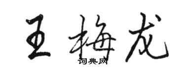 骆恒光王梅龙行书个性签名怎么写
