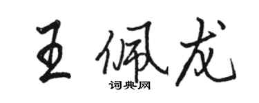 骆恒光王佩龙行书个性签名怎么写