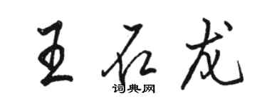 骆恒光王石龙行书个性签名怎么写
