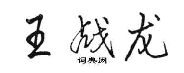 骆恒光王战龙行书个性签名怎么写