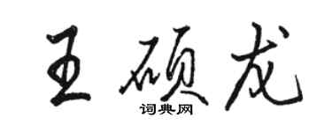 骆恒光王硕龙行书个性签名怎么写