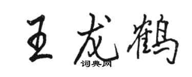 骆恒光王龙鹤行书个性签名怎么写