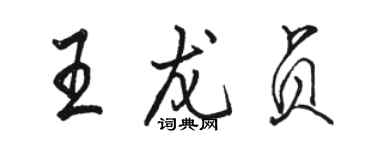 骆恒光王龙贞行书个性签名怎么写