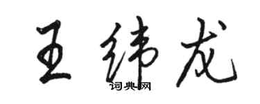 骆恒光王纬龙行书个性签名怎么写