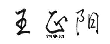 骆恒光王正阳行书个性签名怎么写