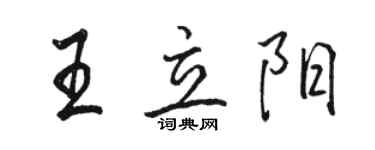 骆恒光王立阳行书个性签名怎么写