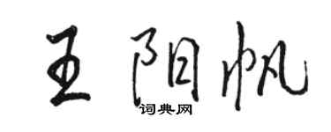 骆恒光王阳帆行书个性签名怎么写