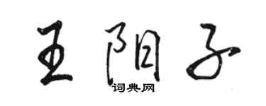骆恒光王阳子行书个性签名怎么写