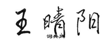骆恒光王晴阳行书个性签名怎么写