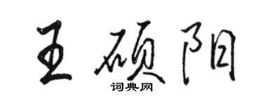 骆恒光王硕阳行书个性签名怎么写