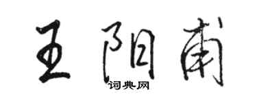 骆恒光王阳甫行书个性签名怎么写
