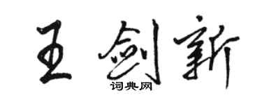 骆恒光王剑新行书个性签名怎么写