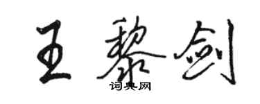 骆恒光王黎剑行书个性签名怎么写