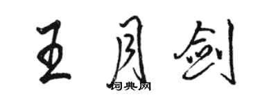 骆恒光王月剑行书个性签名怎么写