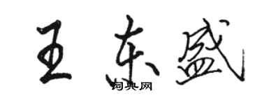 骆恒光王东盛行书个性签名怎么写
